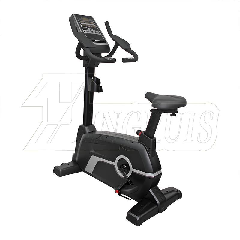 Commercial Upright Exercise Bike