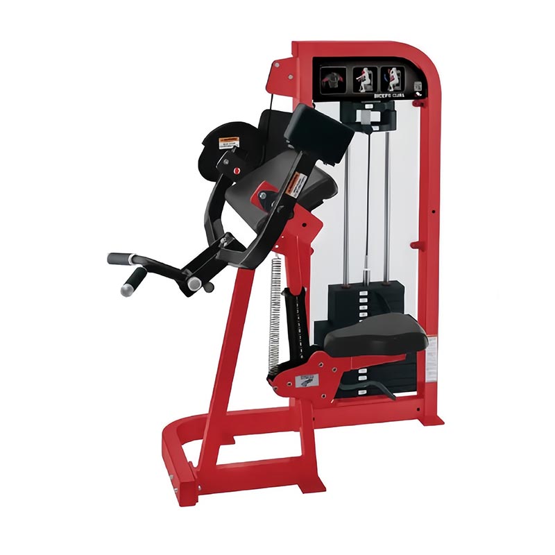 बाइसेप्स कर्ल मशीन चुनें